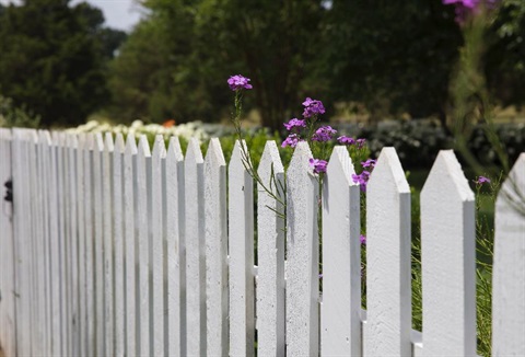 A white picket fence.