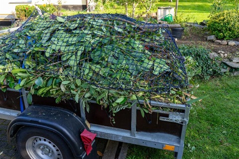A trailer load of green waste.