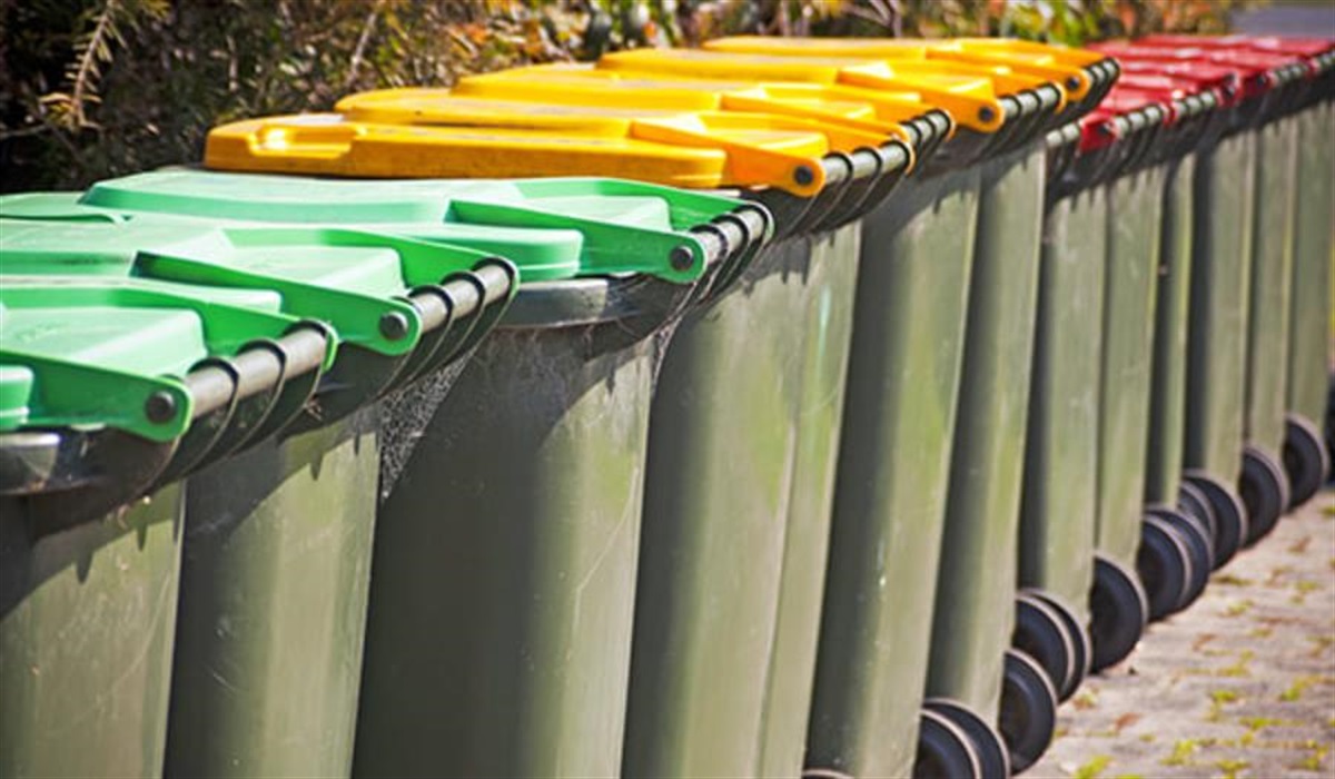 What's My Bin Day? Lismore City Council