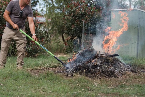 men burning vegetation