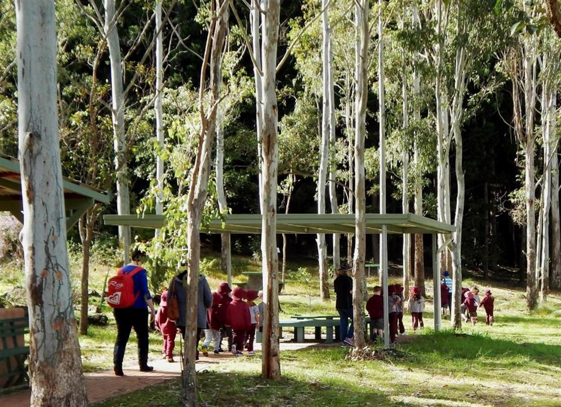 A group of school students walking through a eucalypt forest.
