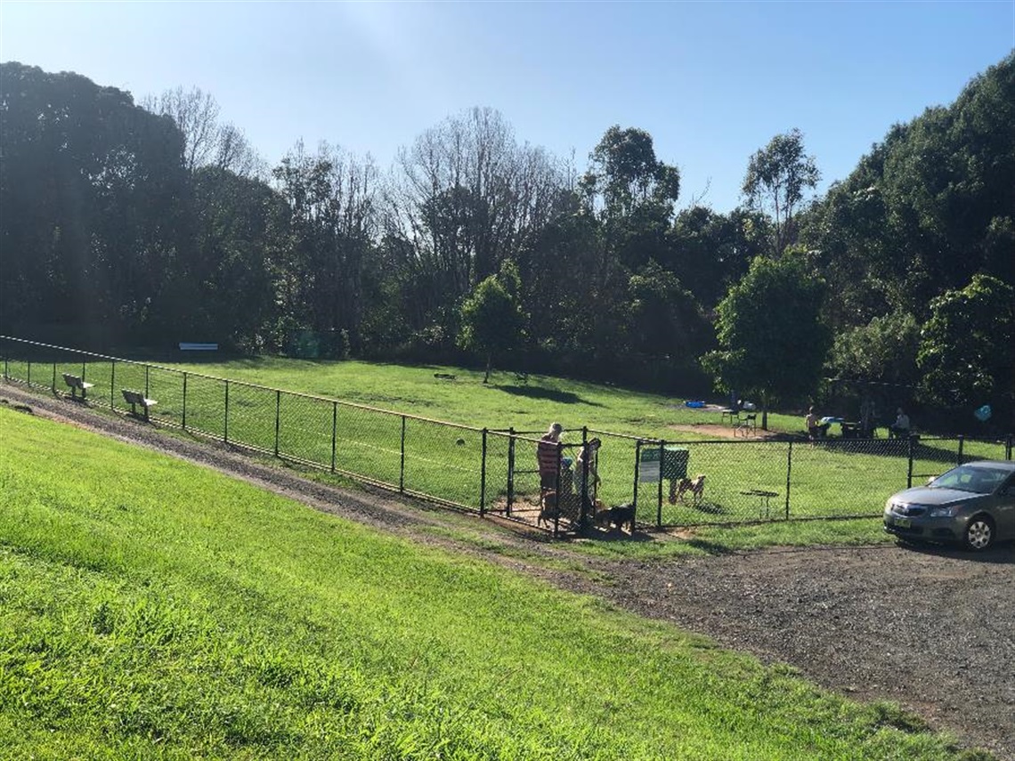The fenced dog park at Goonellabah.