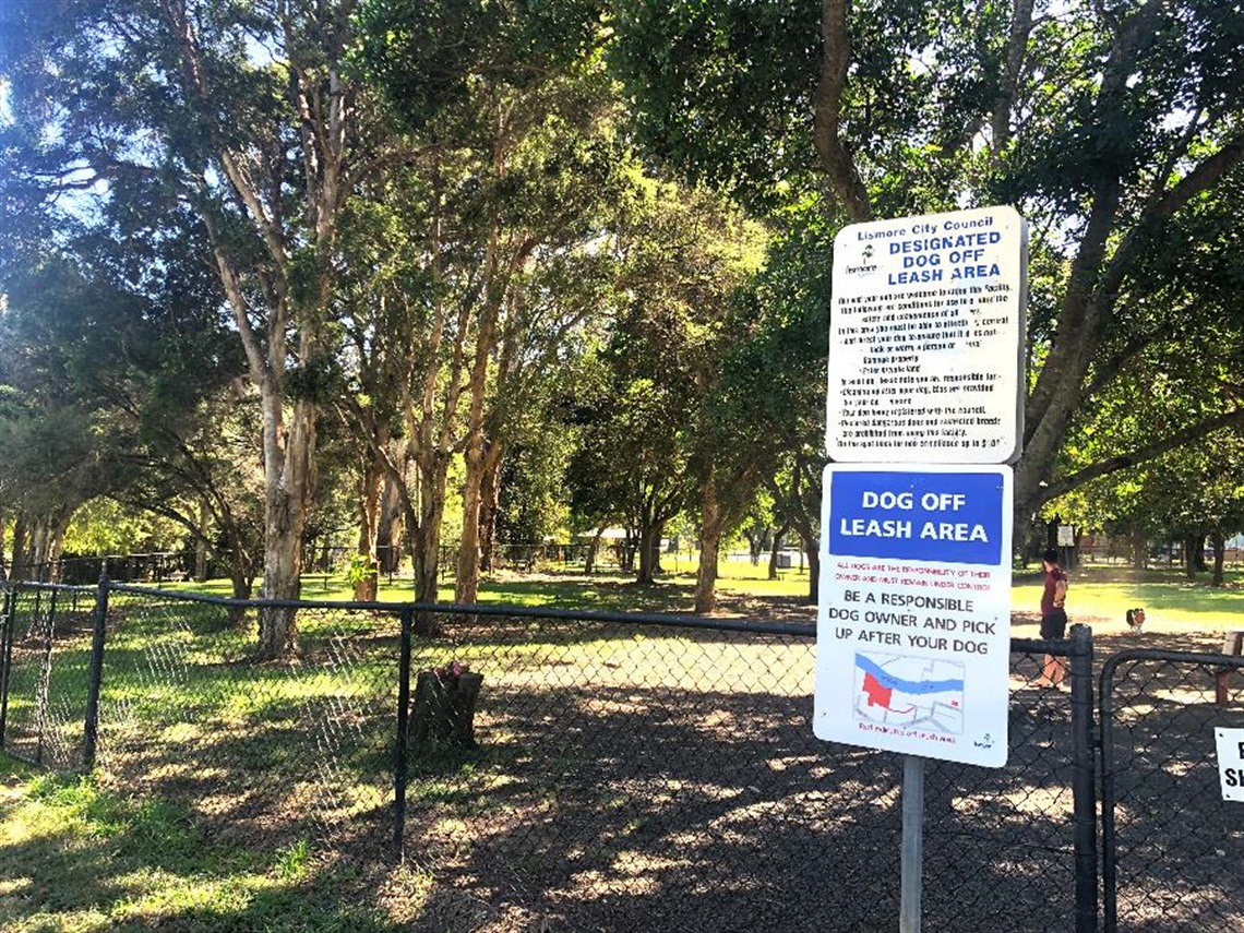 The dog park in Riverside Park.