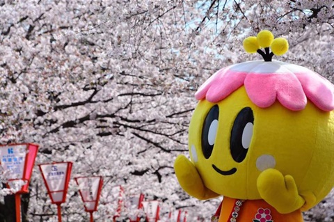 Miku Chan, the sister city mascot from Yamato Takada in Japan. 
