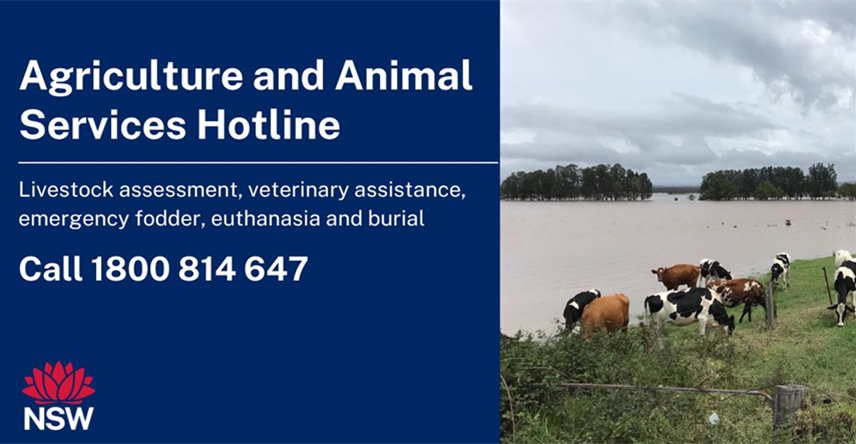 An advertisement for the Agriculture and Animal Services Hotline.
