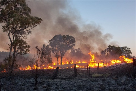 bushfire on property