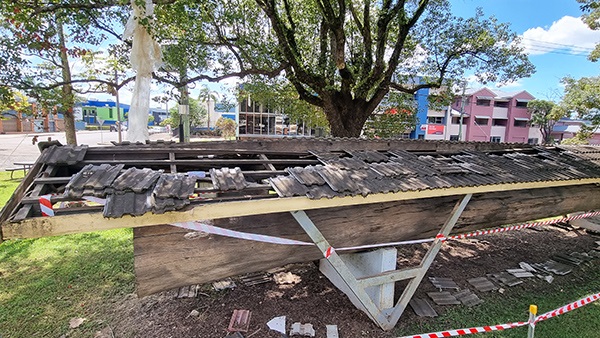 2025_02_10_stocks-park-cedar-log_01.jpg