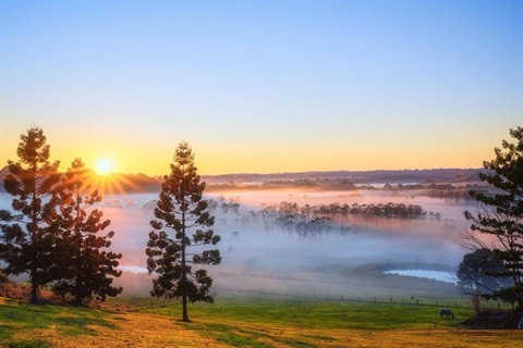 Lismore-sunrise.jpg
