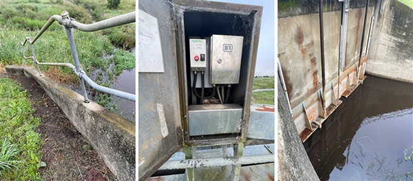 Lower Hollingworth Creek Flood Gate
