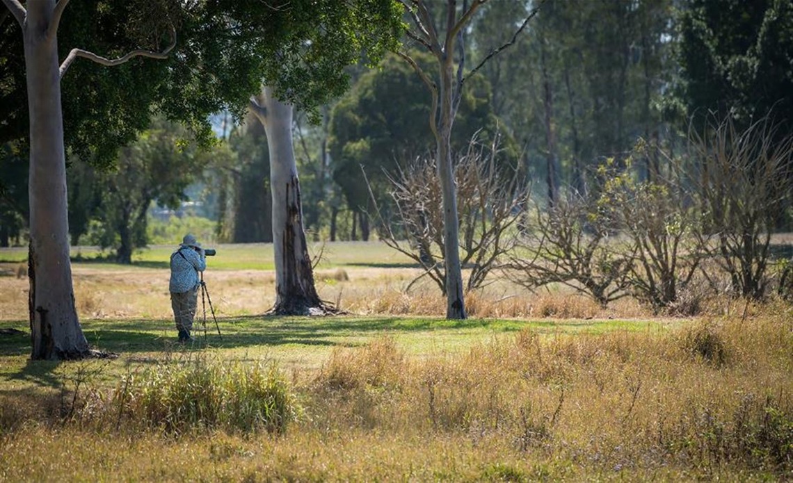 A bird watcher taking photos at Lismore Lake