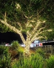 Lismore-and-Goonellabah-are-shining-bright-1.jpg