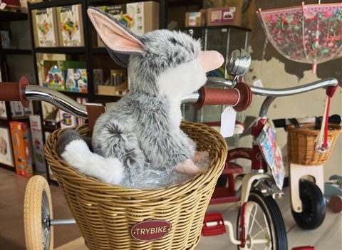 Bilby in bike basket.jpg