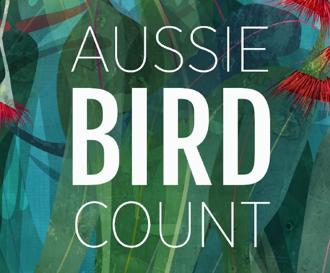 aussie-bird-count.jpg