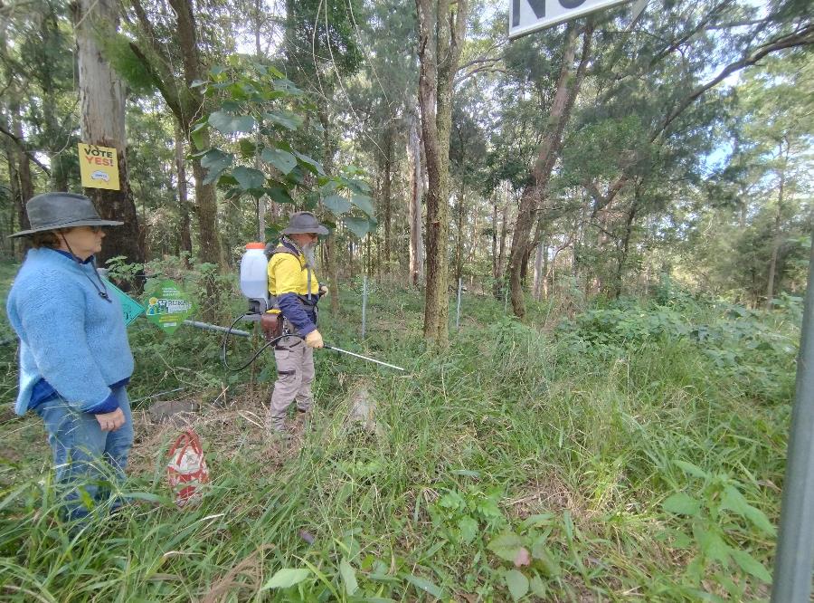 PIC24-218-koala-Field-day-DD-7.jpeg