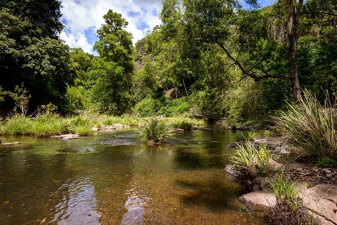  Richmond River estuary