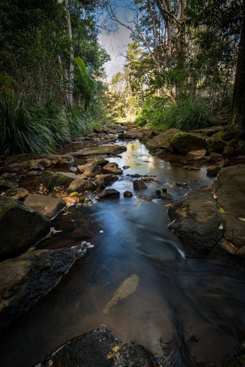 Birdwing-Creek-Social-Media-5.jpg